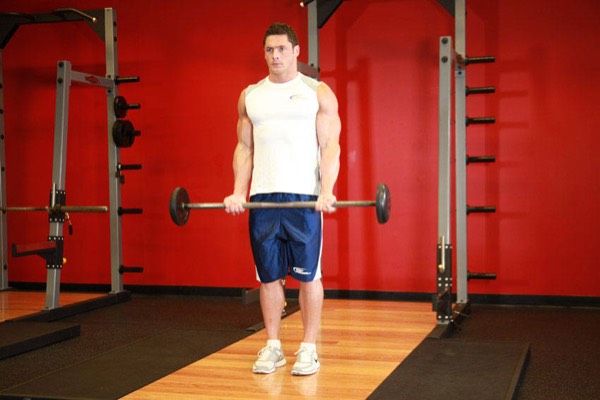 Barbell Curl start position