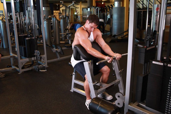 Cable Curl start position