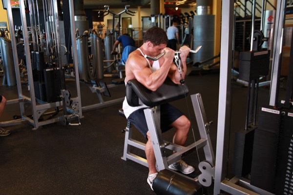 Cable Curl finish position