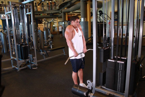 Cable Shrug finish position