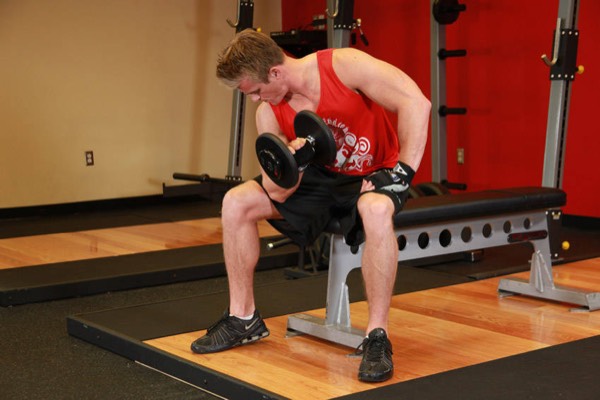 Concentration Curl finish position