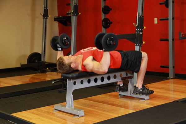 Dumbbell Bench Press start position