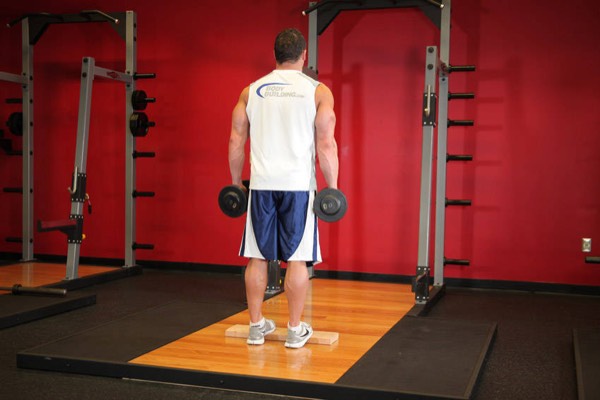 Dumbbell Standing Calf Raise start position