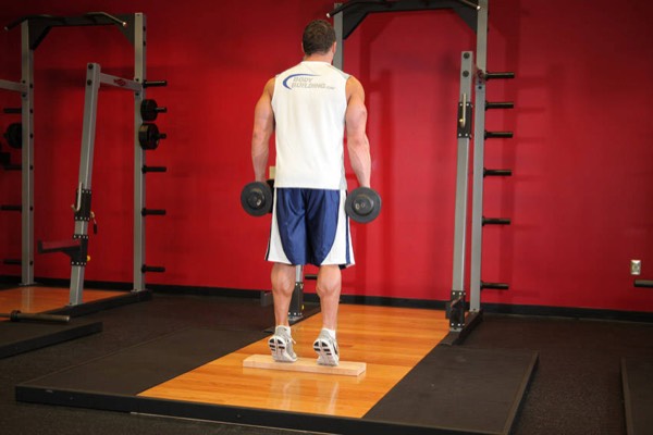 Dumbbell Standing Calf Raise finish position
