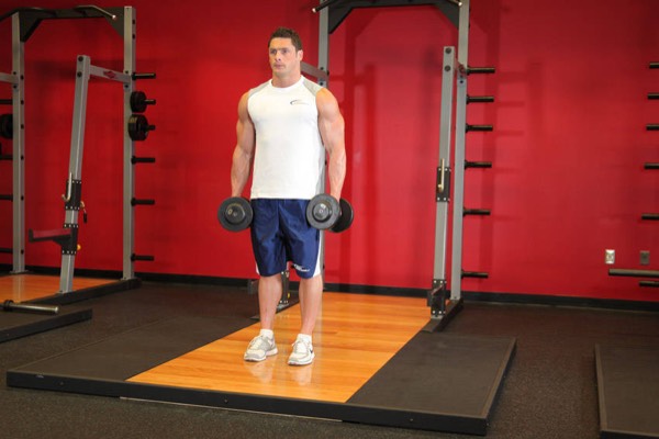 Dumbbell Curl start position