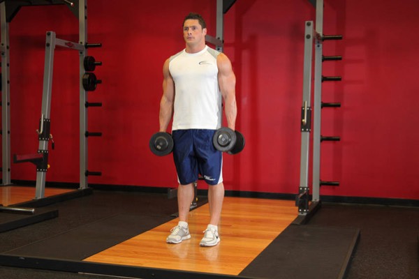 Dumbbell Lunge start position