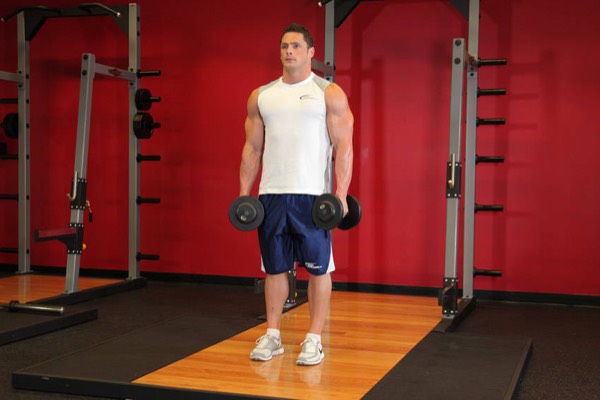 Dumbbell Shrug start position