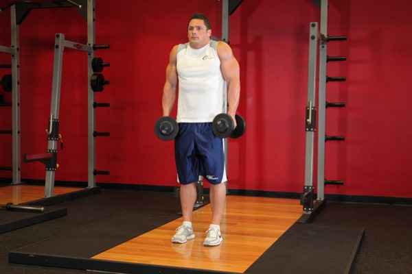 Dumbbell Shrug finish position