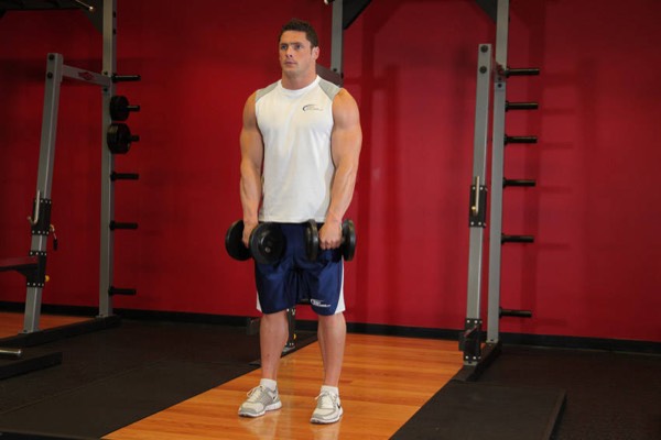Dumbbell Upright Row finish position