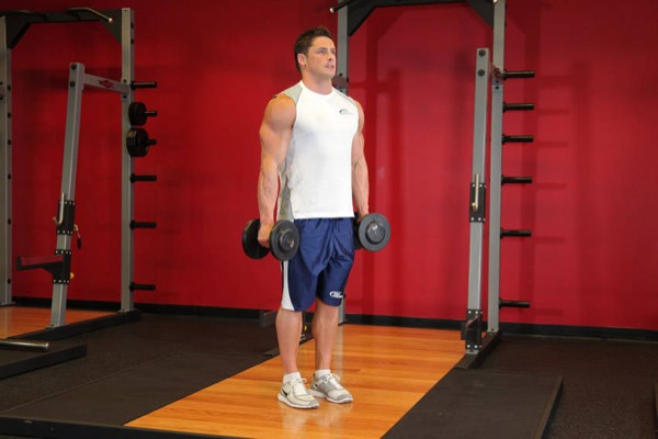 Hammer Curl start position