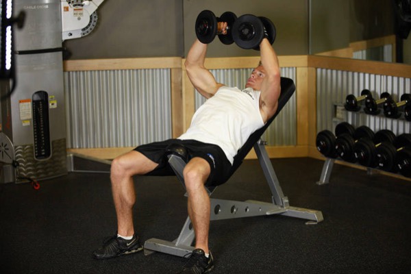Incline Dumbbell Fly finish position