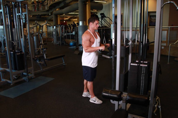 Triceps Pushdown start position