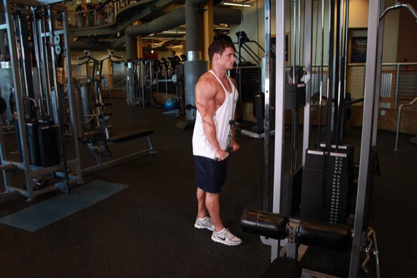 Triceps Pushdown finish position