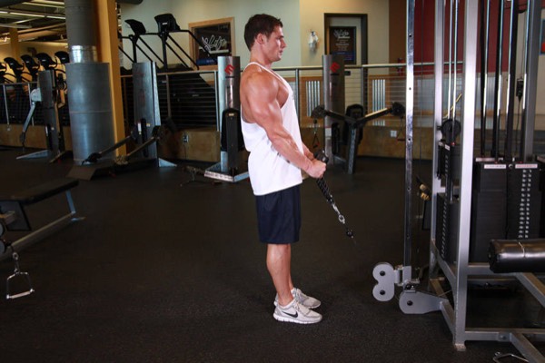 Rope Hammer Curl start position