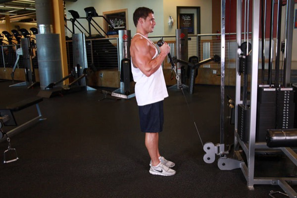 Rope Hammer Curl finish position