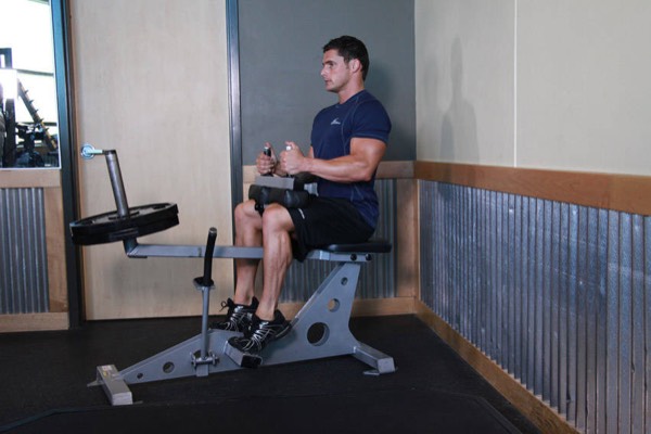 Seated Calf Raise finish position