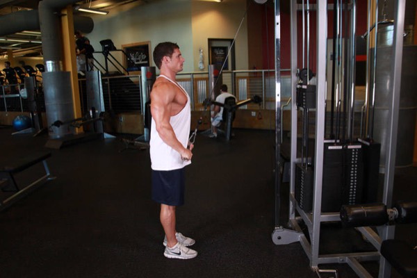 Straight-Arm Pulldown finish position