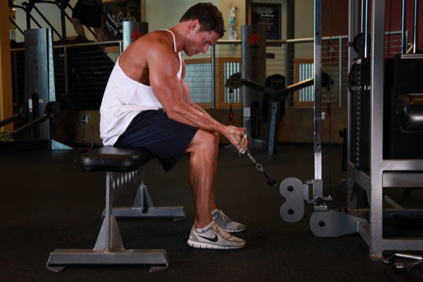 Wrist Curl start position