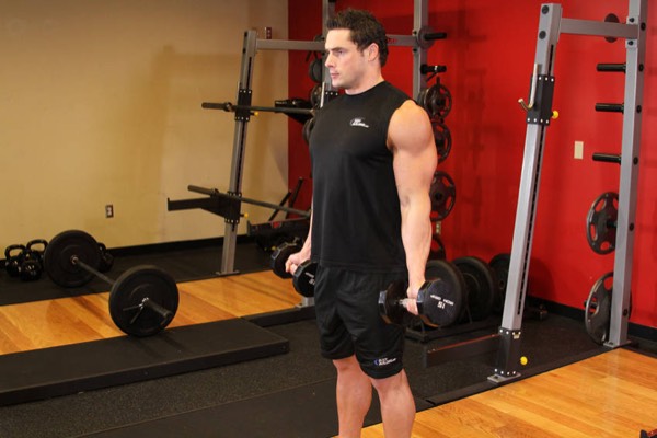 Zottman Curl start position